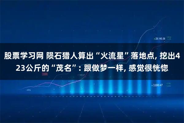 股票学习网 陨石猎人算出“火流星”落地点, 挖出423公斤的“茂名”: 跟做梦一样, 感觉很恍惚