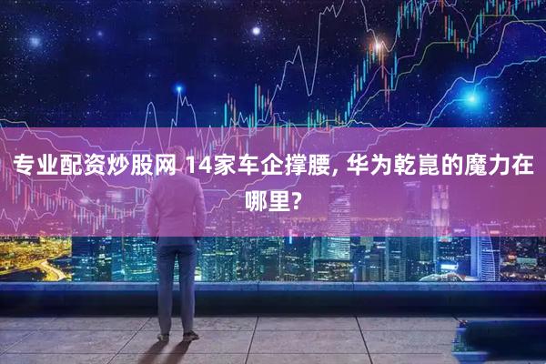 专业配资炒股网 14家车企撑腰, 华为乾崑的魔力在哪里?