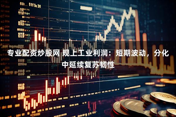 专业配资炒股网 规上工业利润：短期波动，分化中延续复苏韧性