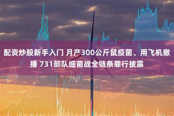 配资炒股新手入门 月产300公斤鼠疫菌、用飞机撒播 731部队细菌战全链条罪行披露